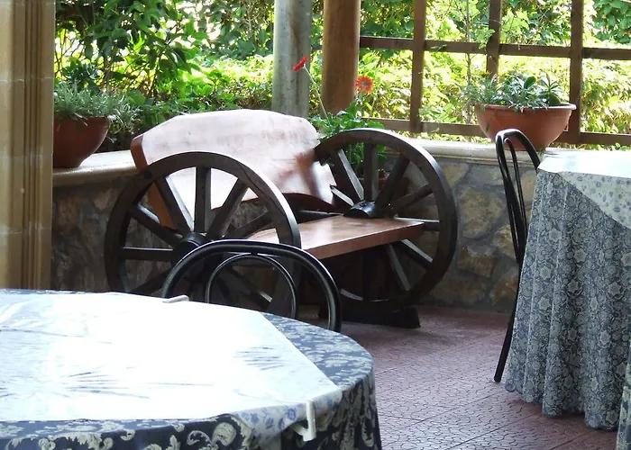 酒店 舟尼卡海岸酒店