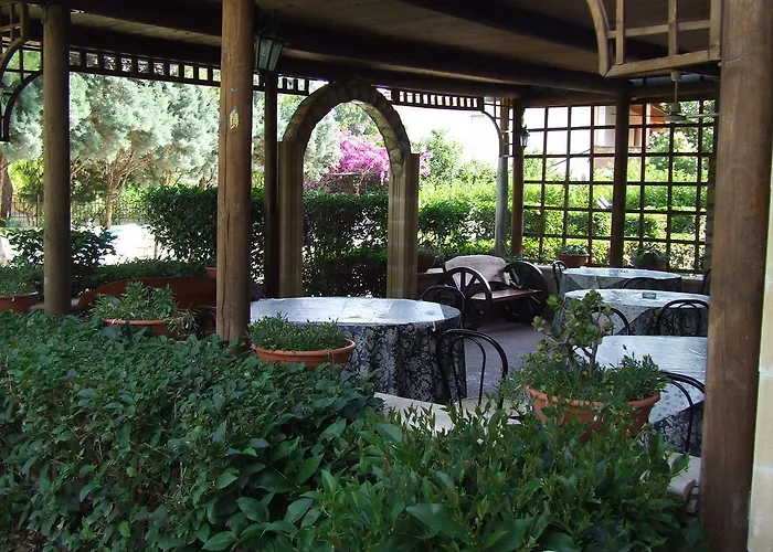 酒店 舟尼卡海岸酒店 塞利亚马里纳