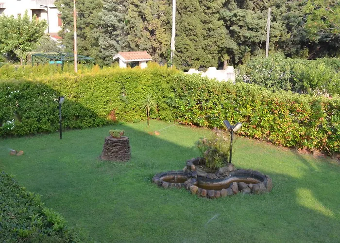 酒店 舟尼卡海岸酒店 塞利亚马里纳